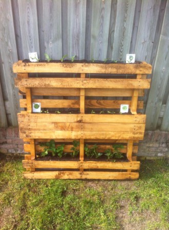 een moderne moestuin